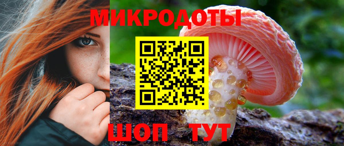 Псилоцибиновые грибы Magic Shrooms  Вход с VPN  Карачаевск 